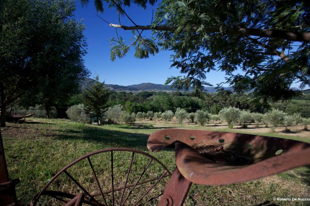 Tenuta Gaetano Spadaro Capannori Exterior foto
