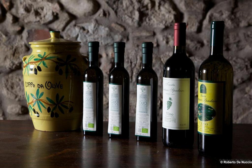 Tenuta Gaetano Spadaro Capannori Exterior foto