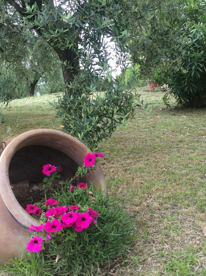 Tenuta Gaetano Spadaro Capannori Exterior foto